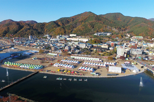 경북도, 지정축제 14개 선정... ‘청송사과축제’ 최우수축제 뽑혀