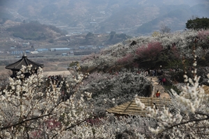 트래블아이 “대한민국 들썩들썩 오늘은 여기” - 3월 추천 여행지