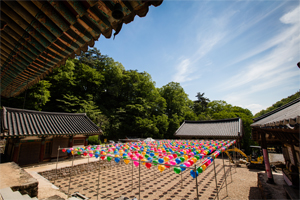 충남의 알프스, 칠갑산으로 봄기운 마시러 가요~!