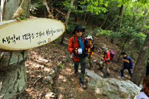 '길 위에서 한반도 첫 봄을 만나다'