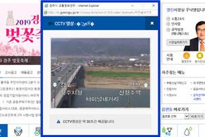 경주시, 벚꽃 개화 실시간 정보 홈페이지 제공