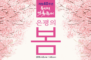 개청 40주년 기념, 2019. 제8회 은평구 불광천 벚꽃축제 개최