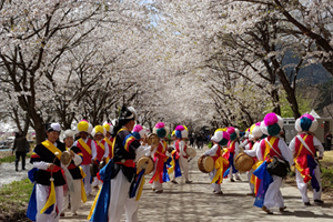 부안 상서면, '제4회 개암동 벚꽃축제' 6~7일 개최