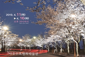 동두천 자유수호평화박물관 벚꽃맞이 야간개장 실시