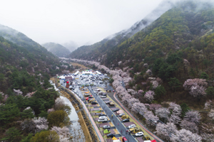 2019 비단고을 산꽃축제 13일 팡파르