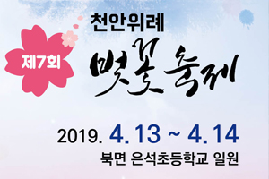 ‘벚꽃, 천안을 그리다’ 제7회 천안위례벚꽃축제 개최