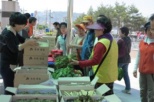 '고소한 옻순 맛 보세요' 옥천서 26~28일 <제12회 옥천참옻축제> 