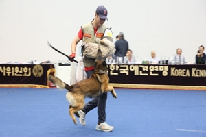 『대구 펫쇼』 멍·냥이와 함께하는 가정의 달 특별 축제 !