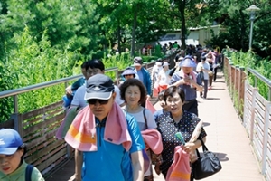 초록빛 향기와 음악 속 함께 걸어요. '우장산신록축제'