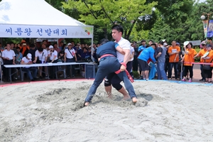 6월 1일, 창포 향기 퍼진다… 영등포 단오 축제 풍성