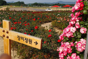 양주시 ‘나리농원’에서 힐링과 함께 소중한 추억을 담아가세요