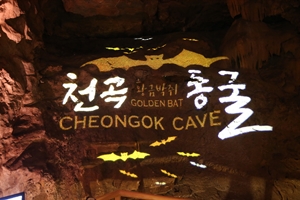 천곡황금박쥐동굴, 새롭게 단장해 14일 재개장