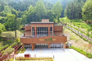 광양시, 천년 숲에서 치유와 힐링… 백운산 치유의 숲 개장