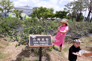 슈퍼푸드 블루베리 열매 따러 경주 동궁원으로 오세요