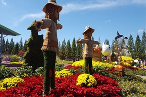 2019고양가을꽃축제, 9월 28일부터 일산 호수공원서