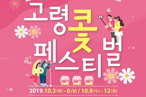 코스모스와 함께하는 가을의 다채로움 ... ‘2019 고령 콫페스티벌’,경상북도 고령군