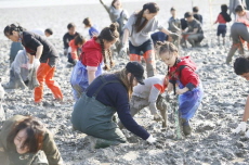 보성군, 오는 31일, 제18회 벌교꼬막 & 문학제 개최