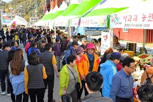 정선아리랑이 키운 대한민 최고의 고랭지 정선사과 18일 축제연다.