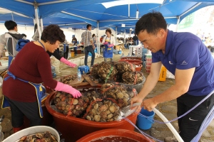 ‘가리비와 함께 가을속으로’ 제3회 고성 가리비 수산물 축제 개막