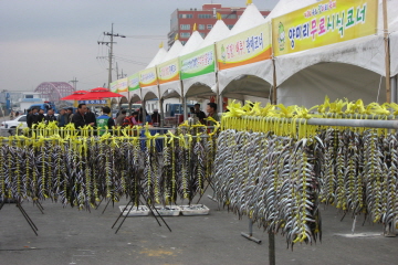 속초 별미여행, 2019 속초 양미리·도루묵 축제