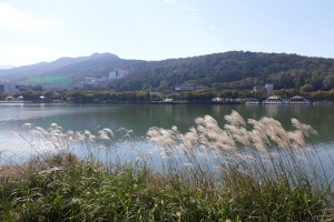 도심 속의 유원지 낭만이 흐르는 수성못과 상화동산의 역사성 탐방,대구광역시 수성구