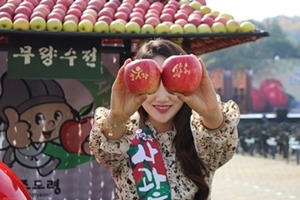 빨간 영주사과와 노란 은행잎의 시선 쟁탈전, ‘2019영주사과축제’