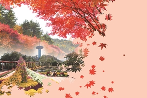 ‘2019 청정완도 가을빛여행’ 10월 25일 개막