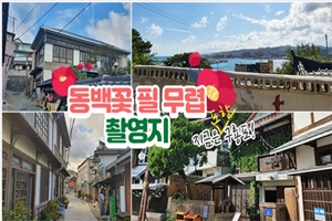 요즘 포항에서 가장 핫한 곳 어디? “구룡포 일본인 가옥거리!”