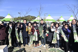 전국 대파 생산량 40%…진도군에서 오는 23일(토) 진도약대파축제  