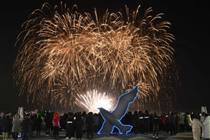 대천겨울바다 사랑축제, 겨울철 대표 축제 자리매김