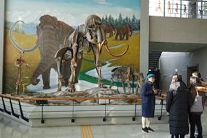 단양군, 겨울 방학에 가볼만한 관광 명소 즐비