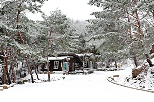 즐거운 명절, 가족나들이는 경북의 산림으로