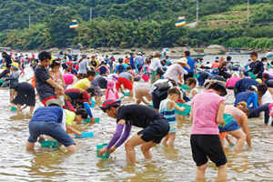 하동섬진강문화재첩축제 예비 문화관광축제 지정