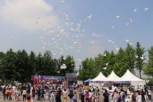 고양 대표 축제를 넘어 경기 대표 축제로!