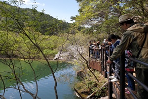 속리산, 코로나19로 지친 봄나들이객 발길 이어져