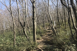 진안군, 쾌적하고 안전한 산림휴양 서비스 제공