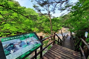 훌쩍 다가온 여름, 산청 지리산 대원사 계곡길 걸어볼까