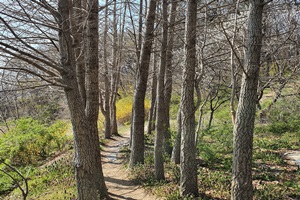 치유의 도시 아산, 힐링워킹 ‘아산둘레길’ 