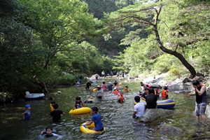 단양 청정계곡, 비대면 안심관광지로 입소문