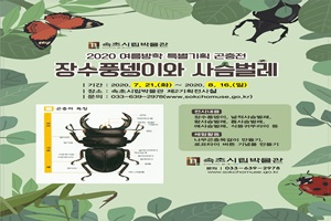  2020 속초시립박물관 여름방학 특별기획 곤충전...“장수풍뎅이와 사슴벌레 展” 개최