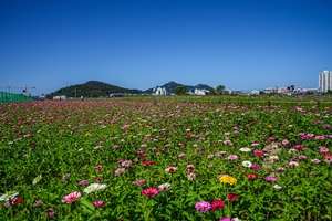 목포시, 남항 화사한 꽃 정원으로 대변신 