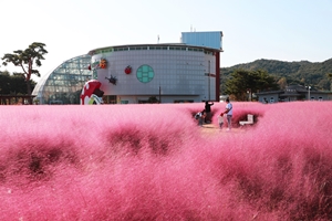 힐링 가득, 감성충전 엑스포 공원  