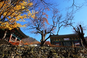 공주시, ‘갑사’ 가을 비대면 관광지 100선 선정