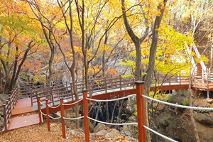 광양시, 만추 백운산 어치계곡 생태탐방로 전면 개방