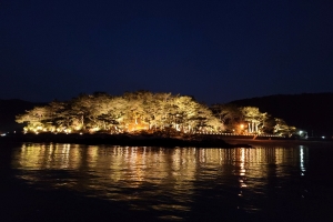 몽돌 굴러가는 소리, 통영 추봉 봉암해수욕장 야간경광조명