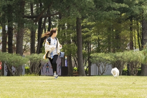 우리집 댕댕이 봉인해제! 뚠뚠이와 함께 남이섬 여행