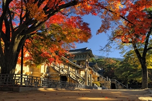 불국사, 석굴암, 대릉원 일대 ‘한국관광 100선’에 선정