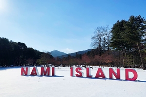 설날, 청정자연 안전한 남이섬이 좋습니다 