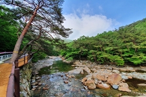 산청군 드라이브 스루 안심 봄나들이 여행지 소개