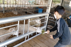 수안보 곤충박물관에서 뜻깊은 추억 만들자